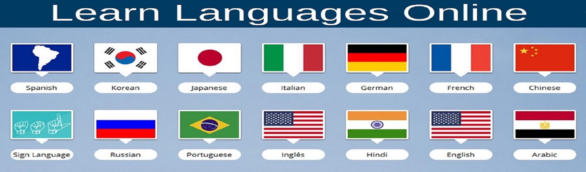 best computer institute franchise 